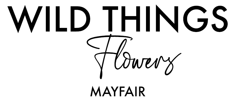 Wild Things Flowers Mayfair | Luxury Florist Same Day London Delivery